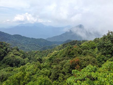 Discover the beauty of Bach Ma Mountain in Hue 